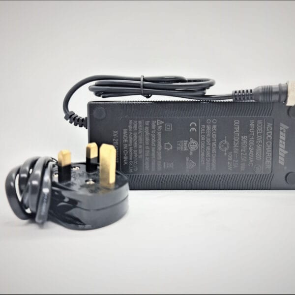 48V 2A Standard Charger